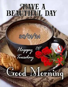 Bom dia Feliz para todos screenshot 7