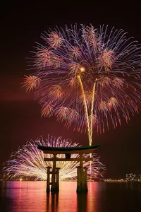 Happy chinese New year 2025 screenshot 2