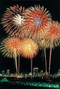 Happy chinese New year 2025 screenshot 3