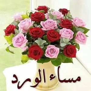 Gif صباح الخير و مساء الخير screenshot 5