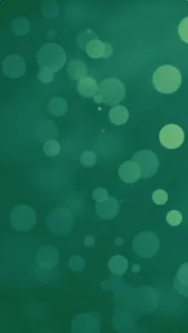 VfL Wolfsburg quiz football screenshot 4