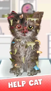 Cat Makeover screenshot 0