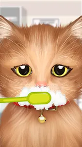 Cat Makeover screenshot 11