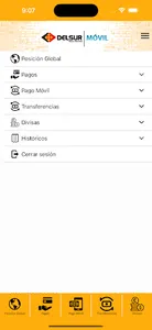DelSur Móvil screenshot 4