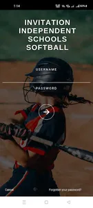 IIS SOFTBALL screenshot 1