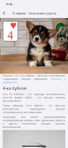 Секреты Таро - Пасьянс Медичи screenshot 7