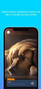 Relax Music for Cats and Dogs screenshot 4