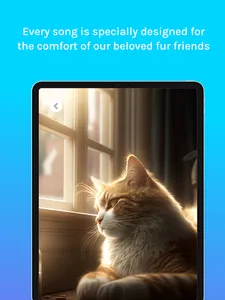 Relax Music for Cats and Dogs screenshot 8