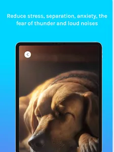 Relax Music for Cats and Dogs screenshot 9