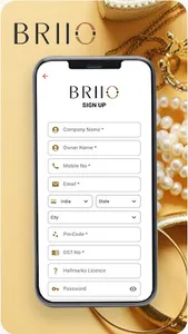 BRIIO screenshot 2