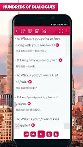 English Conversations 3 screenshot 5