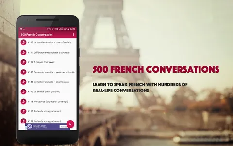 French Conversation screenshot 6