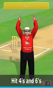 Smashing Cricket: cricket game screenshot 1