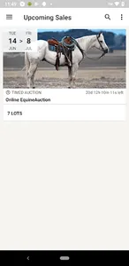 EquineAuction screenshot 0