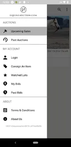 EquineAuction screenshot 3