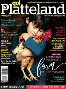 Go! Platteland screenshot 4