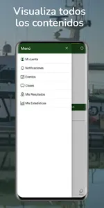 Vincis screenshot 3