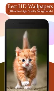 Cute Cat Wallpapers HD screenshot 0