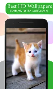 Cute Cat Wallpapers HD screenshot 1
