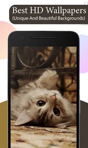 Cute Cat Wallpapers HD screenshot 2