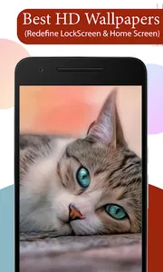 Cute Cat Wallpapers HD screenshot 3