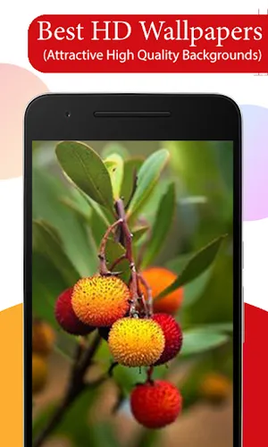 Fruit Tree Wallpapers HD screenshot 0