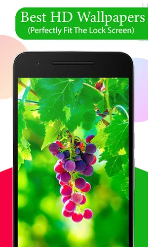 Fruit Tree Wallpapers HD screenshot 1