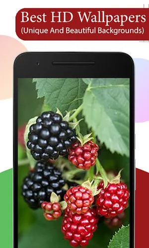 Fruit Tree Wallpapers HD screenshot 2