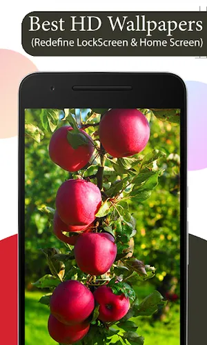 Fruit Tree Wallpapers HD screenshot 3