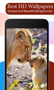 Lion HD Wallpapers screenshot 1