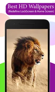 Lion HD Wallpapers screenshot 2