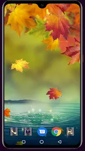 Autumn Wallpaper screenshot 1