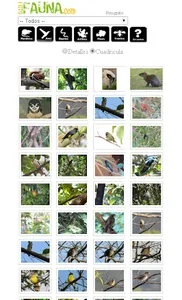 FotoFauna screenshot 1