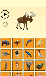 Animal Sounds screenshot 1