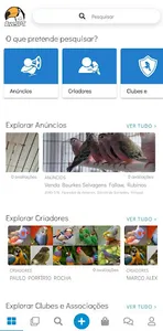 AvesPT - Anúncios e Criadores screenshot 0