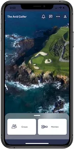 The Avid Golfer screenshot 9