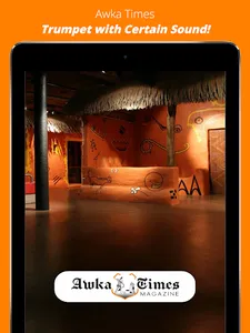 Awka Times screenshot 1