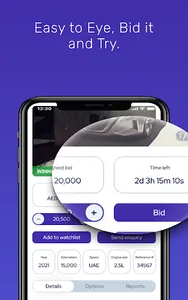 AWR Auction screenshot 23