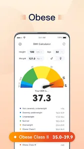 BMI Calculator screenshot 2