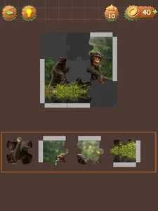 Safari Puzzle screenshot 14