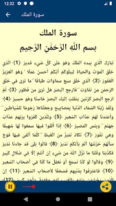القرآن الكريم الصوتي | بدون نت screenshot 3