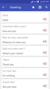 Learn and speak French Offline screenshot 5