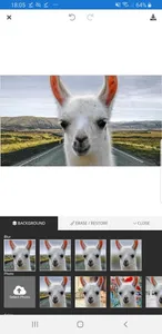 Background Delete screenshot 1
