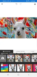 Background Delete screenshot 4