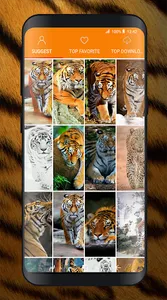 Tiger Wallpapers Offline screenshot 1