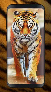 Tiger Wallpapers Offline screenshot 2