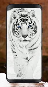 Tiger Wallpapers Offline screenshot 4