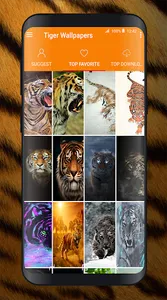 Tiger Wallpapers Offline screenshot 5