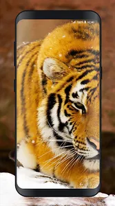 Tiger Wallpapers Offline screenshot 8