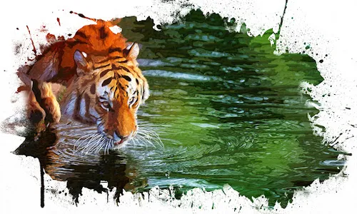 Tiger Wallpapers Offline screenshot 9